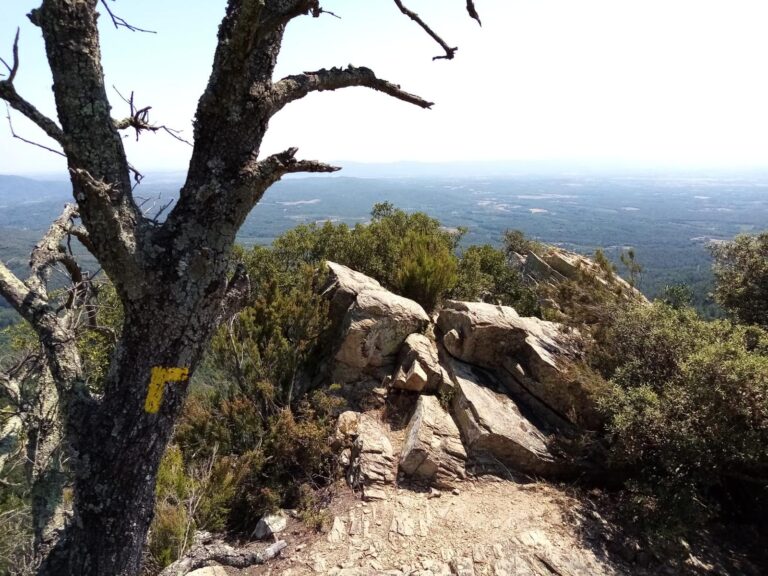 Enselva't. Ruta de les ermites. Anglès.