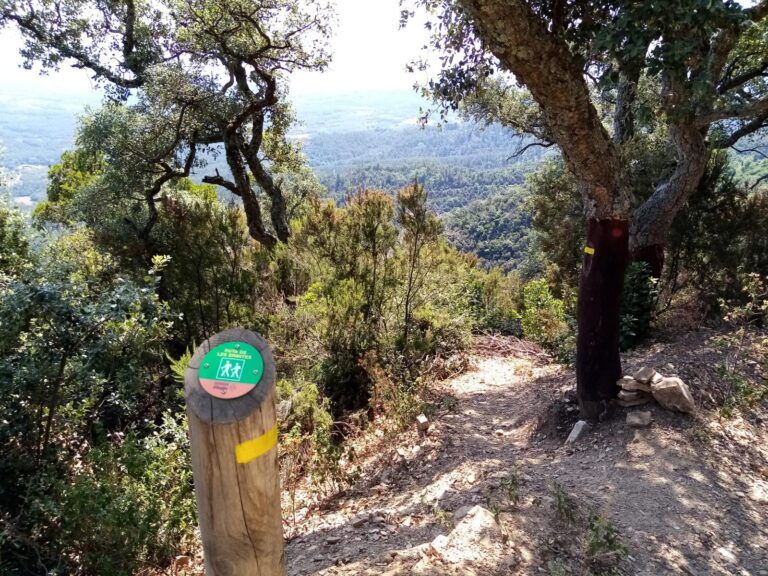 Enselva't. Ruta de les ermites. Anglès.