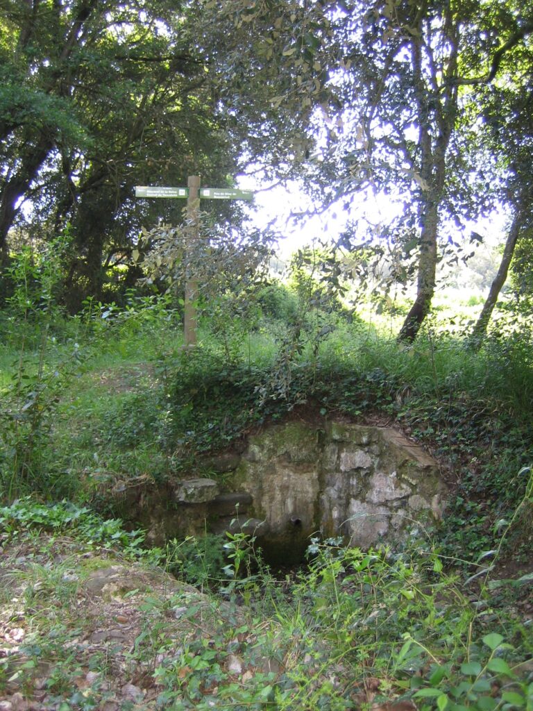 Enselva't. Font del Llop. Maçanet de la Selva.