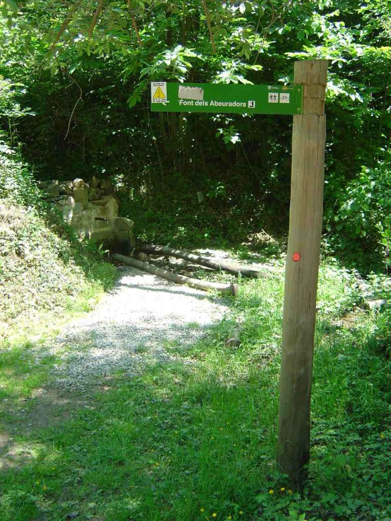 Enselva't. Font dels Abeuradors. Amer.
