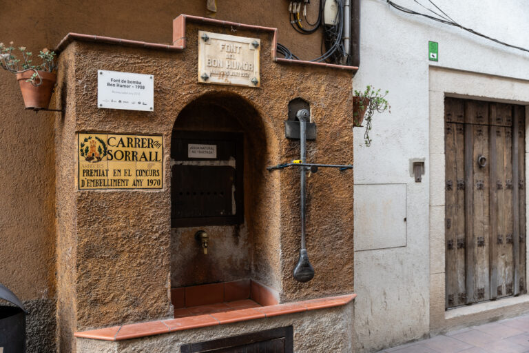 Enselva't. Foto de David Rueda. Font de Bon Humor. (Arbúcies)