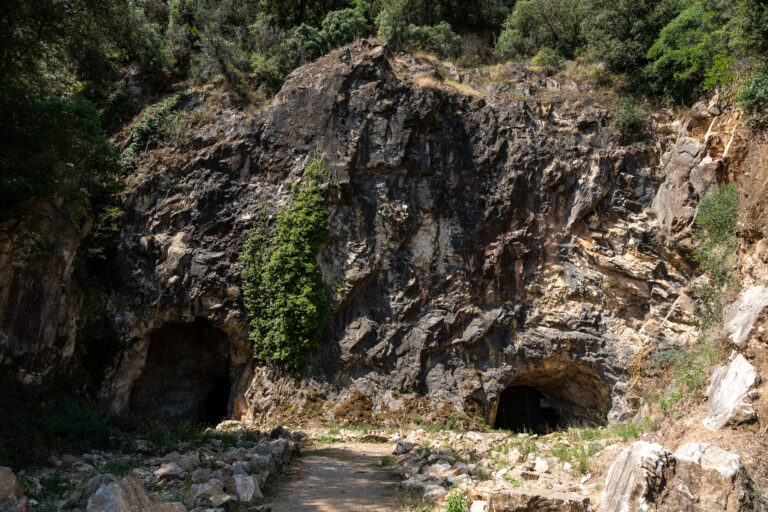 Enselva't. Foto de David Rueda. Les coves del Pasteral.