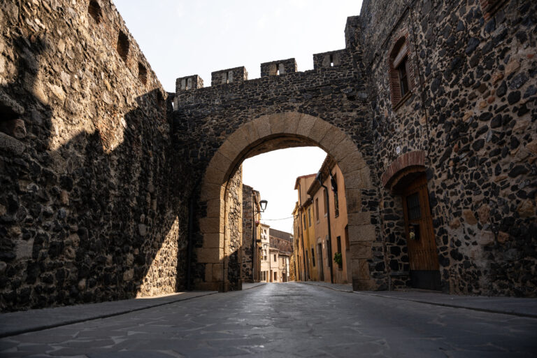 Enselva't. Foto de David Rueda. Porta de Barcelona. (Hostalric)