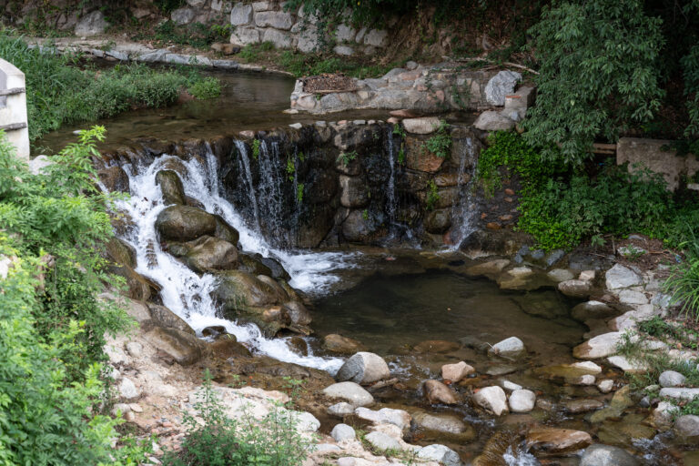 Enselva't. La Farga i el Molí del Roquer.