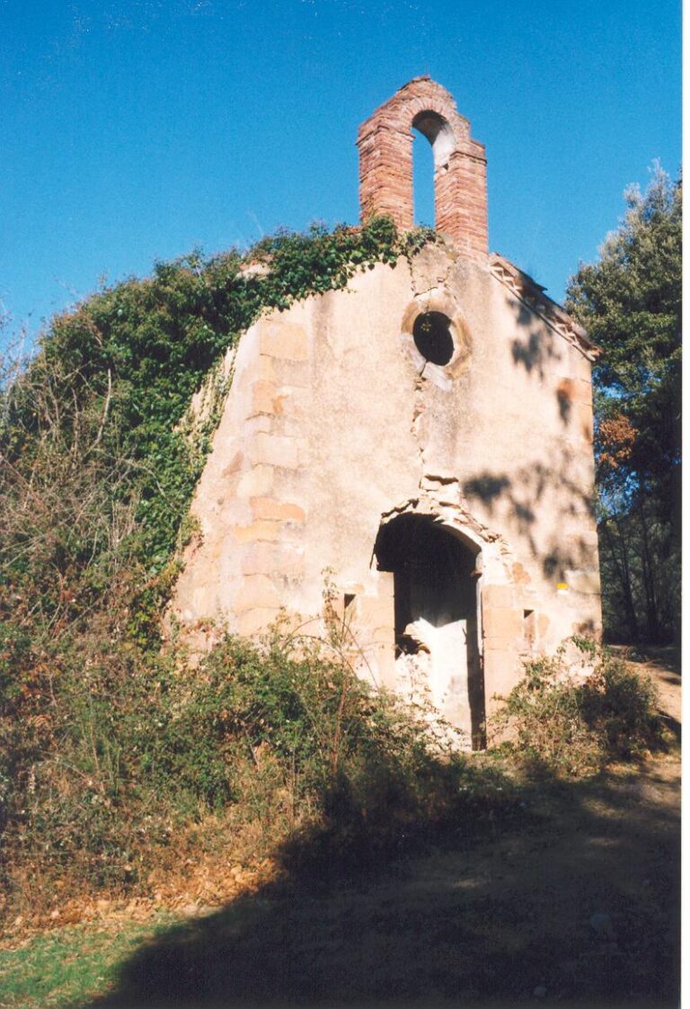 Enselva't. Mare de Déu del Part. Osor.