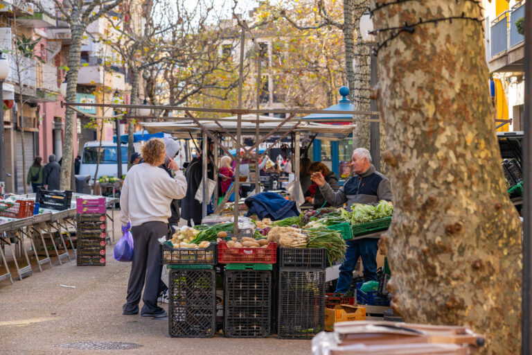 Ensélvate. Mercado Blanes. Planes