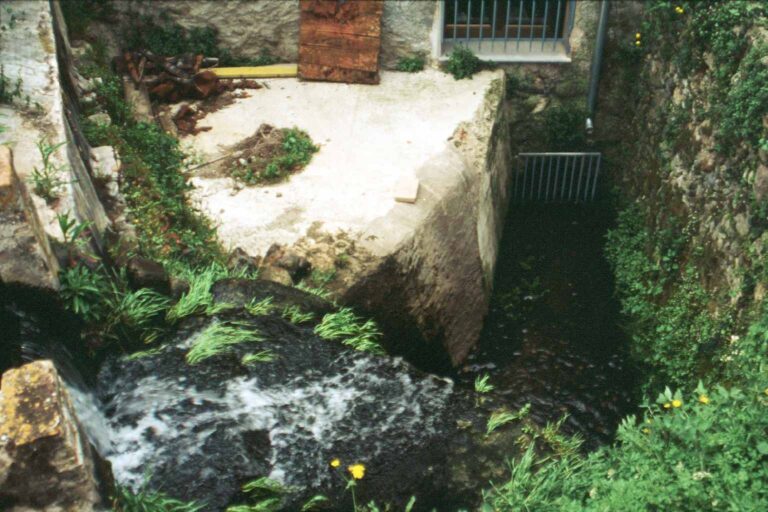 Enselva't. Molí de Ballvespre (Amer)
