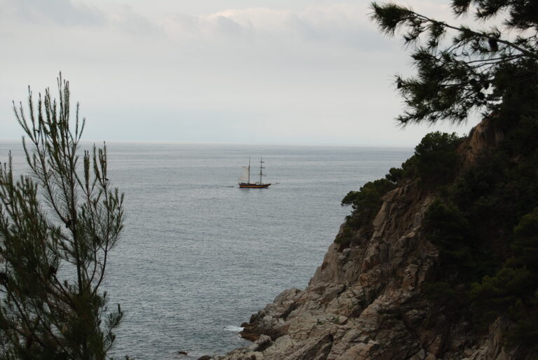 Enselva't. Pescador. Tossa de Mar.