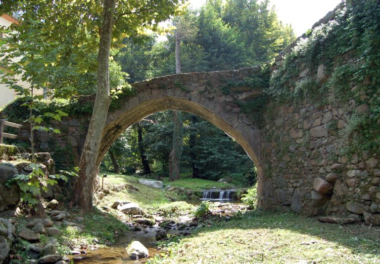 Enselva't. Pont de Can Vidal. Osor.
