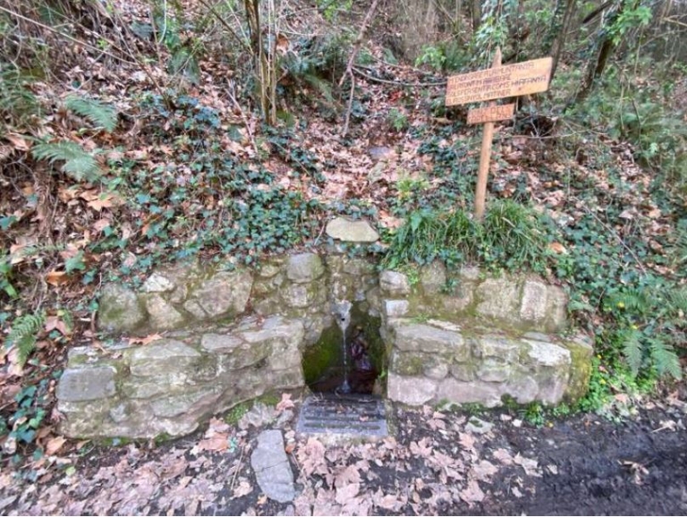 Enselva't. Font dels Capellans (Amer)