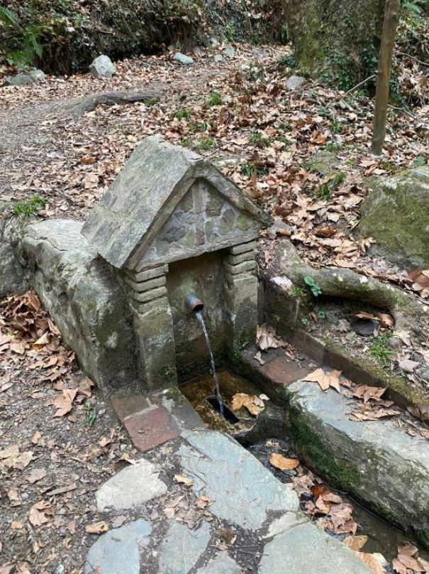 Font dels Carlins (Amer)