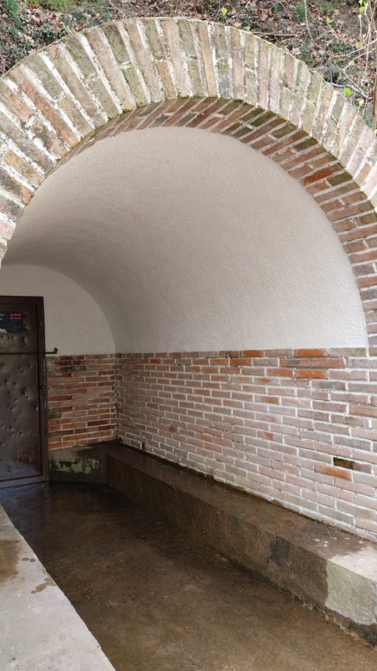 Enselva't. Font d'en Fàbrega (Amer)