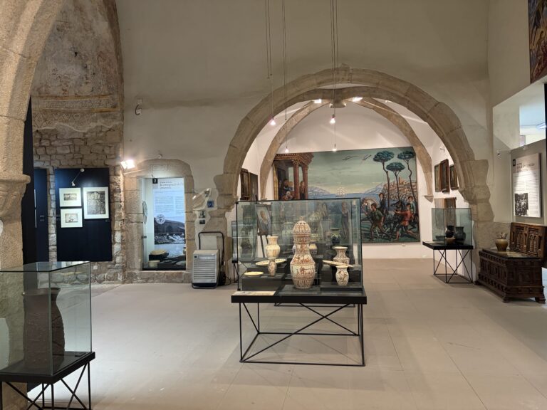 Foto: Enselva't. Museu Aragay Breda