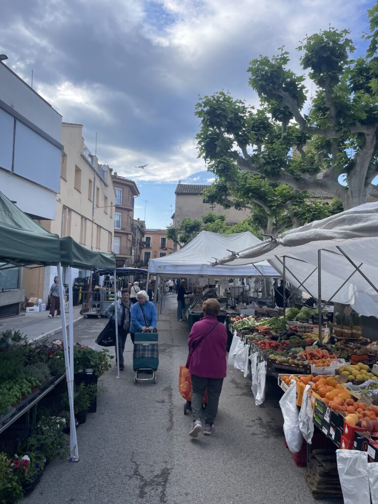 Foto: Enselva't.Mercat setmanal Santa Coloma de Farners