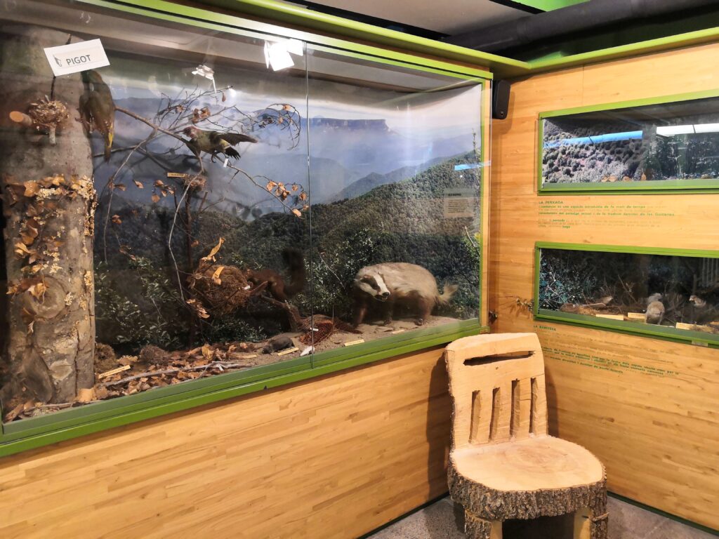 Foto: Enselva't. Museu guilleries