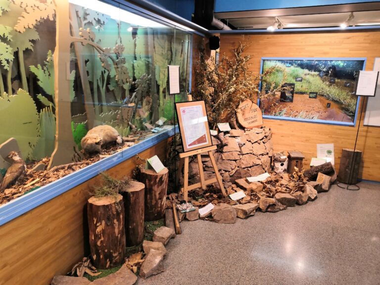 Foto: Geht in den Wald. Museum der Gilden