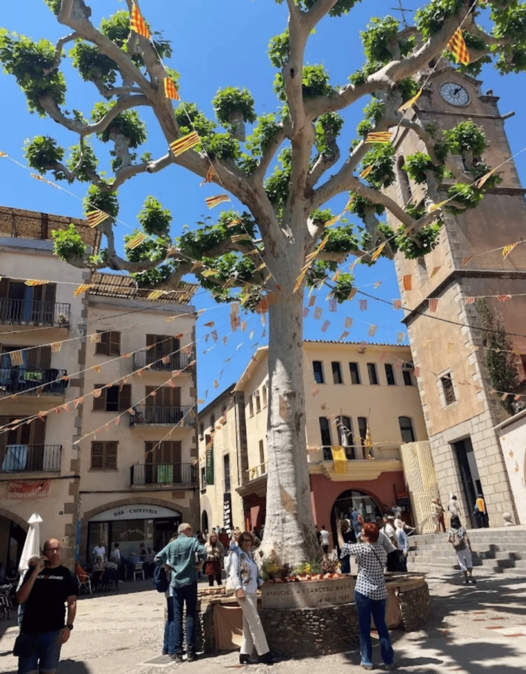 Enselva't. Plaça de la Vila. Arbúcies.