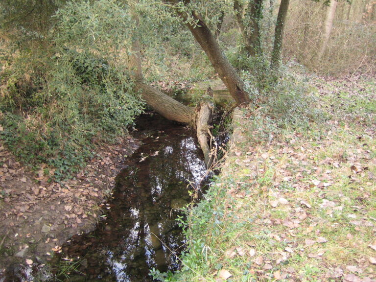 Enselva't. Safareig de la Font del Llop. Maçanet de la Selva.