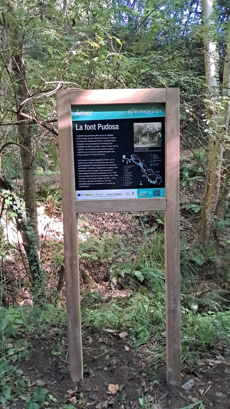 Enselva't. Font Pudosa (Amer)