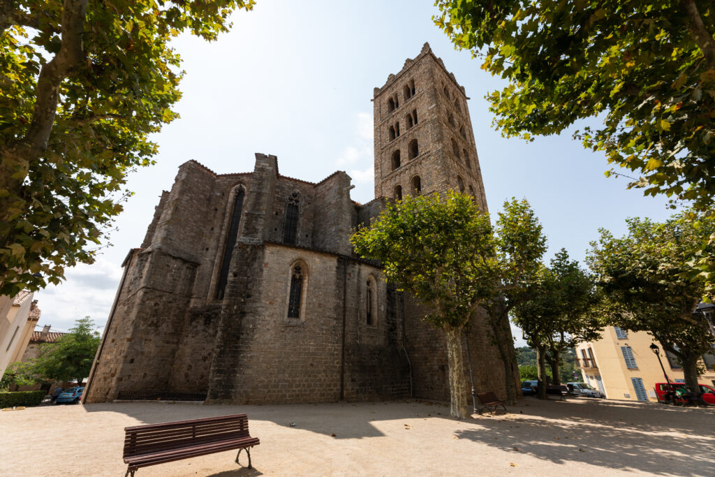Vescomtat de Cabrera.David Rueda.Monestir de Sant Salvador.
