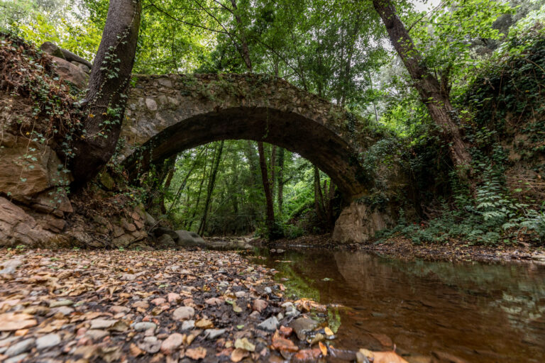 El pont del molí de les Pipes - Arbúcies