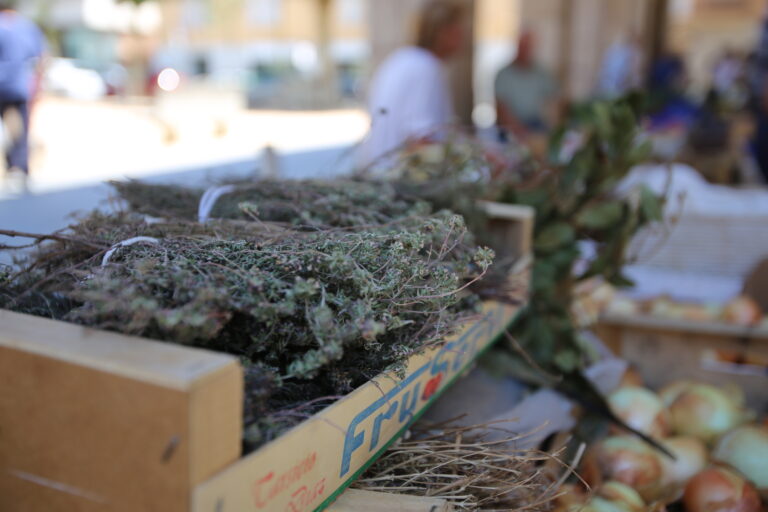 Foto Localitza: ratafia tradicional