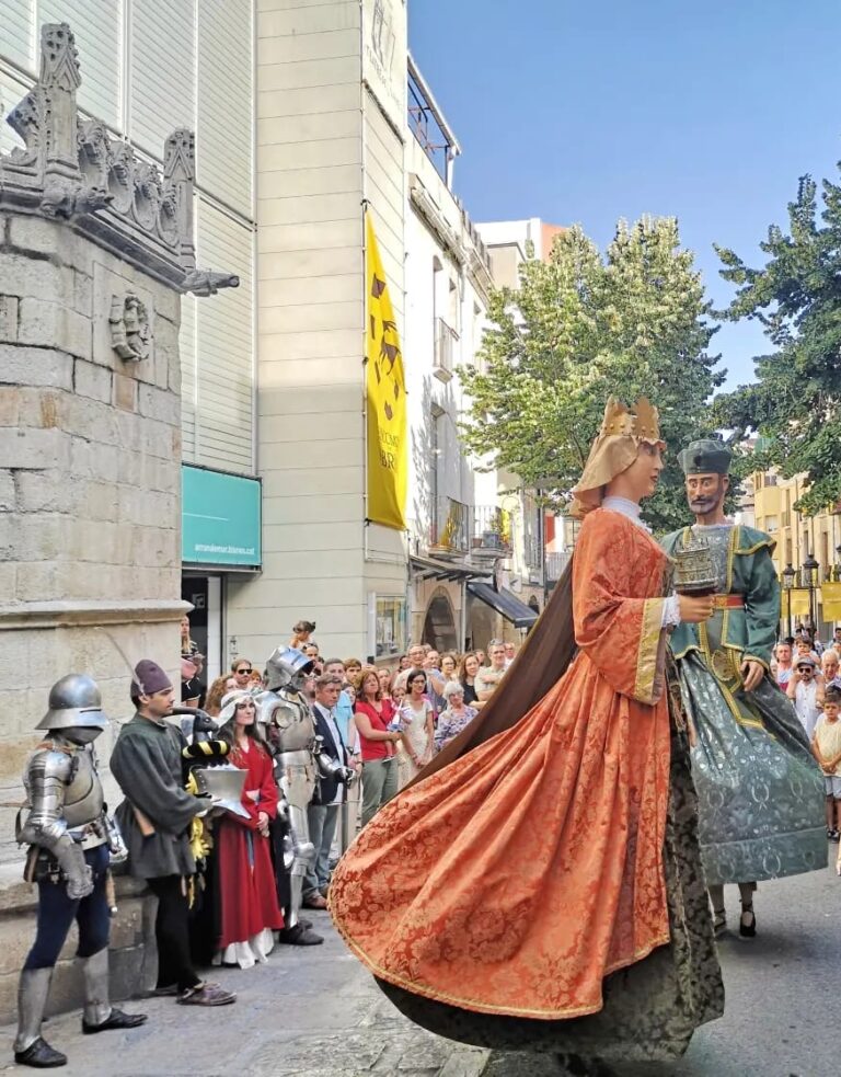Fires i festes