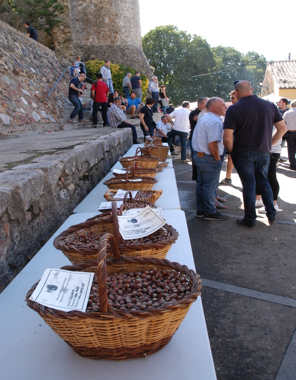 Productes locals
