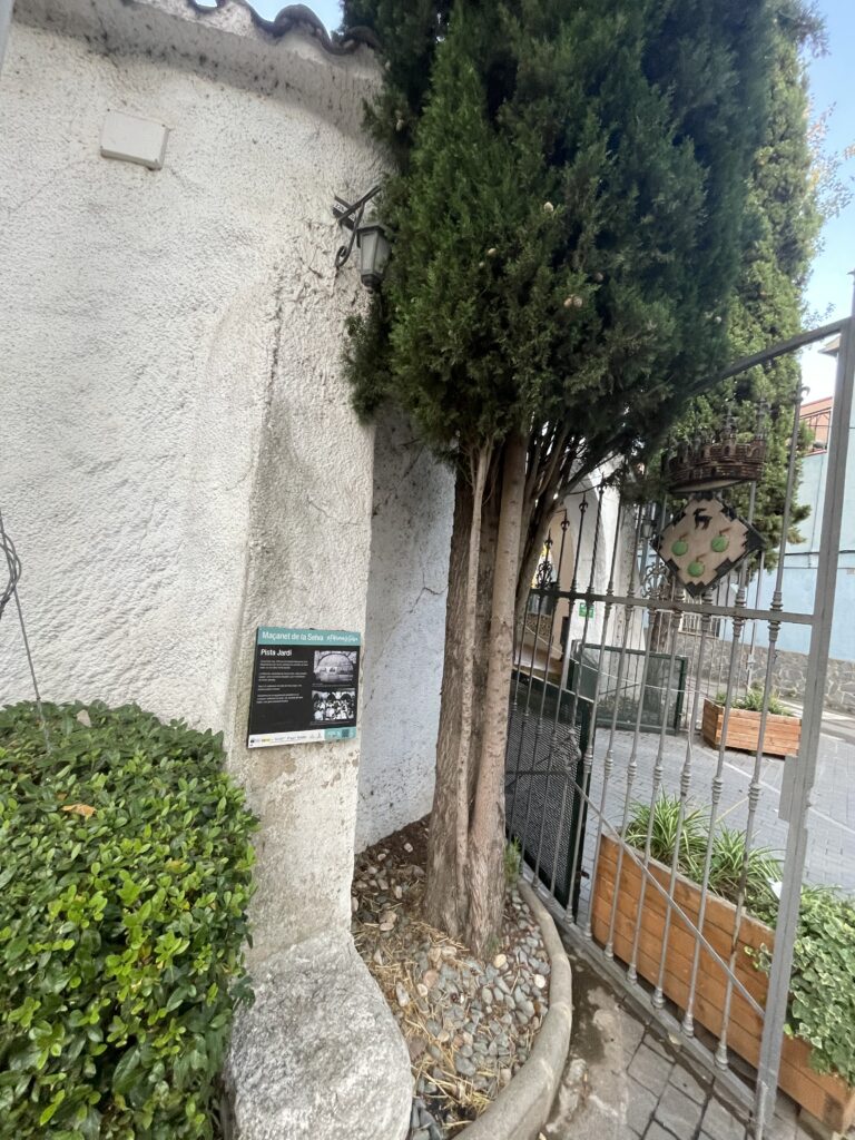 Enselva't. Foto de Clàudia Gordillo. Pista Jardí.