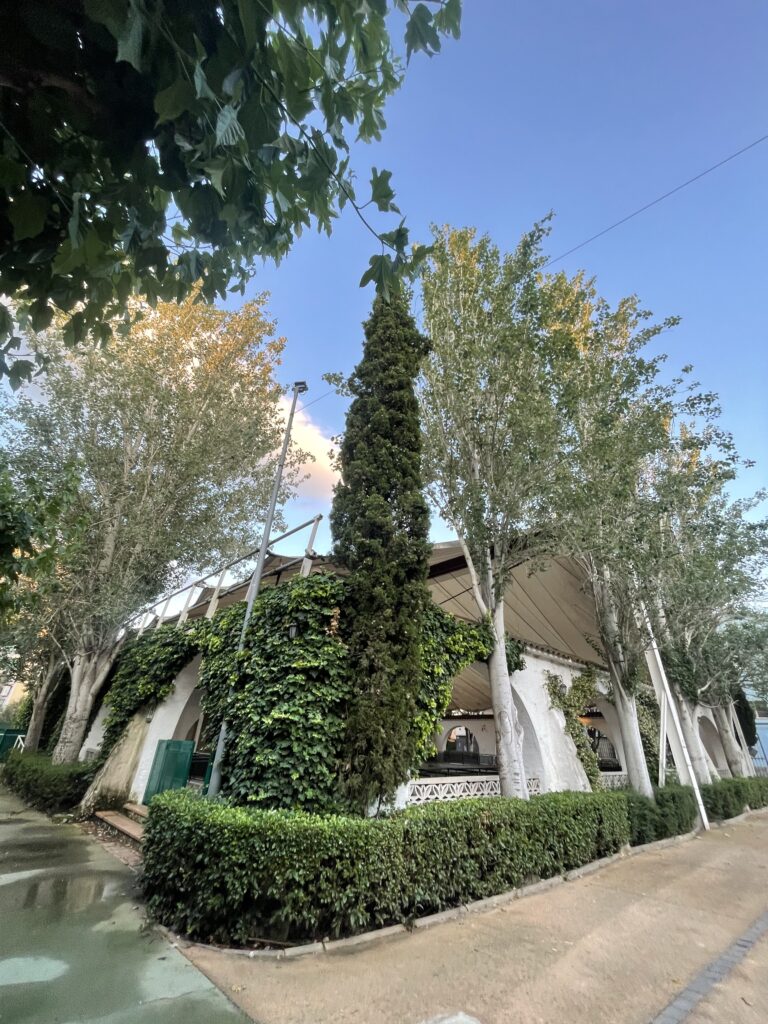 Enselva't. Foto de Clàudia Gordillo. Pista Jardí.