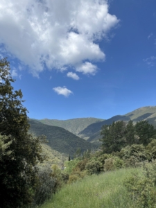 Vistas del Montseny