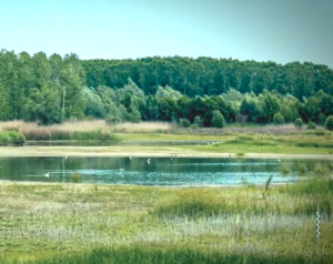 Ausdehnung und Austrocknung des Sils-Sees: Geologie, Feuer und Wasser