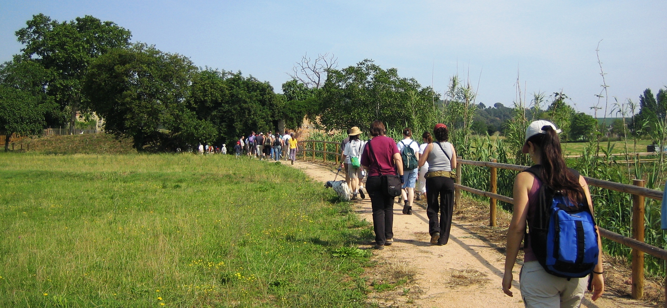 Foto: Enselva't. Usuaris al Amaradors de Salitja.