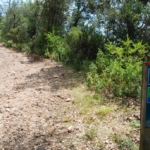 Section Tourdera Gaserans – Castell de Montsoriu