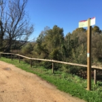 Section Tourdera Fogars de la Selva – Massanes