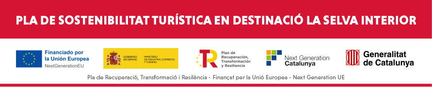 logos PSTD