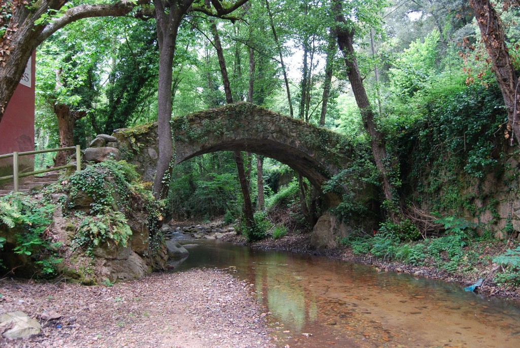 Riera d'Arbúcies molà de les pipes
