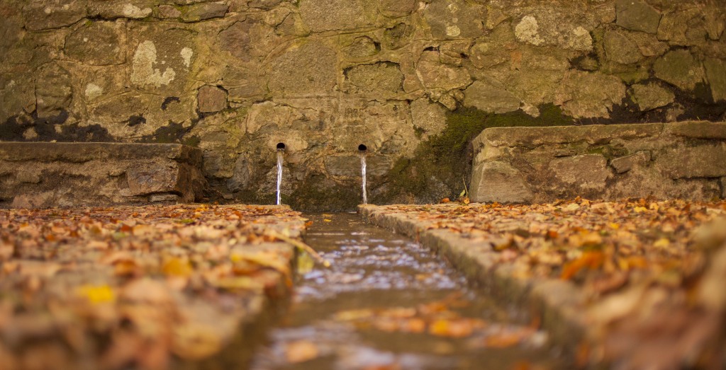 Font Bona, Montseny