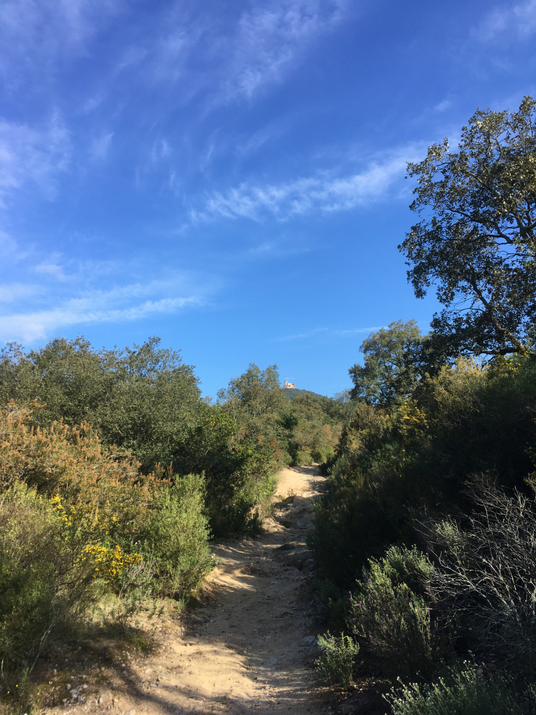 Tram Breda – Castell de Montsoriu