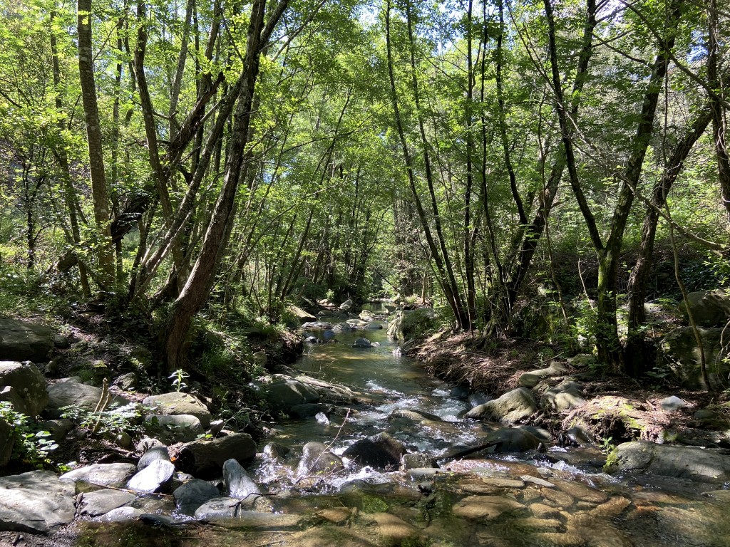 riu tordera pel montseny