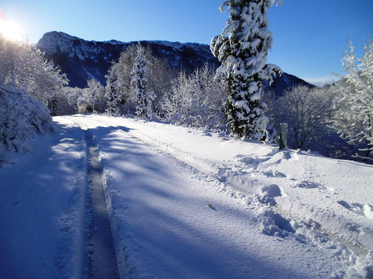 Coll de Sant Marçal