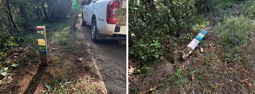 Foto: Tourdera. Reposició de fita caiguda a Arbúcies.