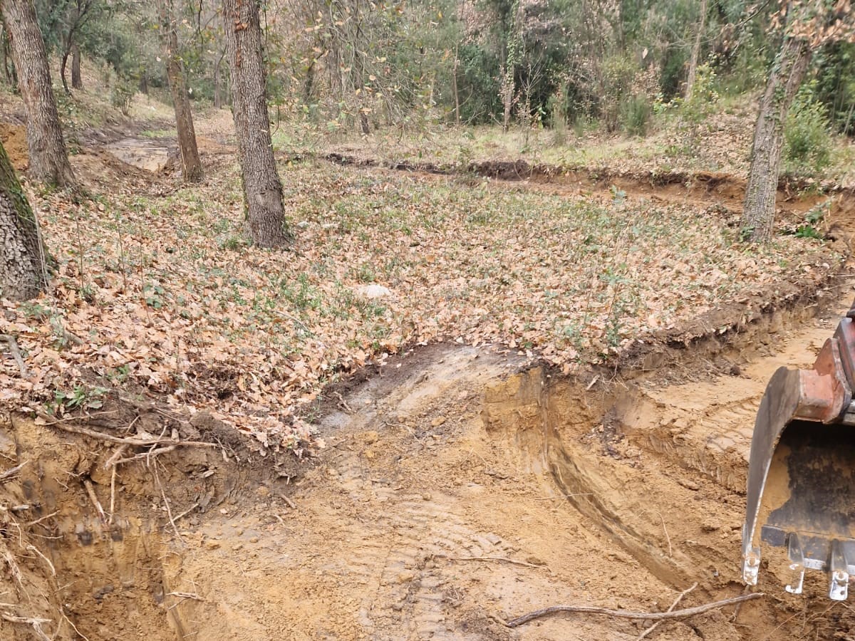 Foto: Consell Comarcal de la Selva. Parc ornitològic Riells