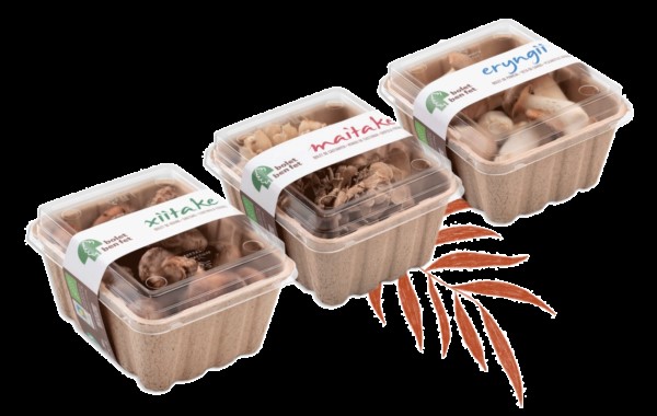 Foto: Bolet Ben Fet, envasos-compostables