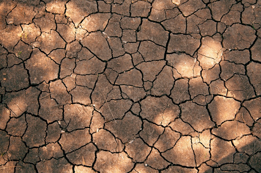 Foto de Nikolai Rubanov en Unsplash